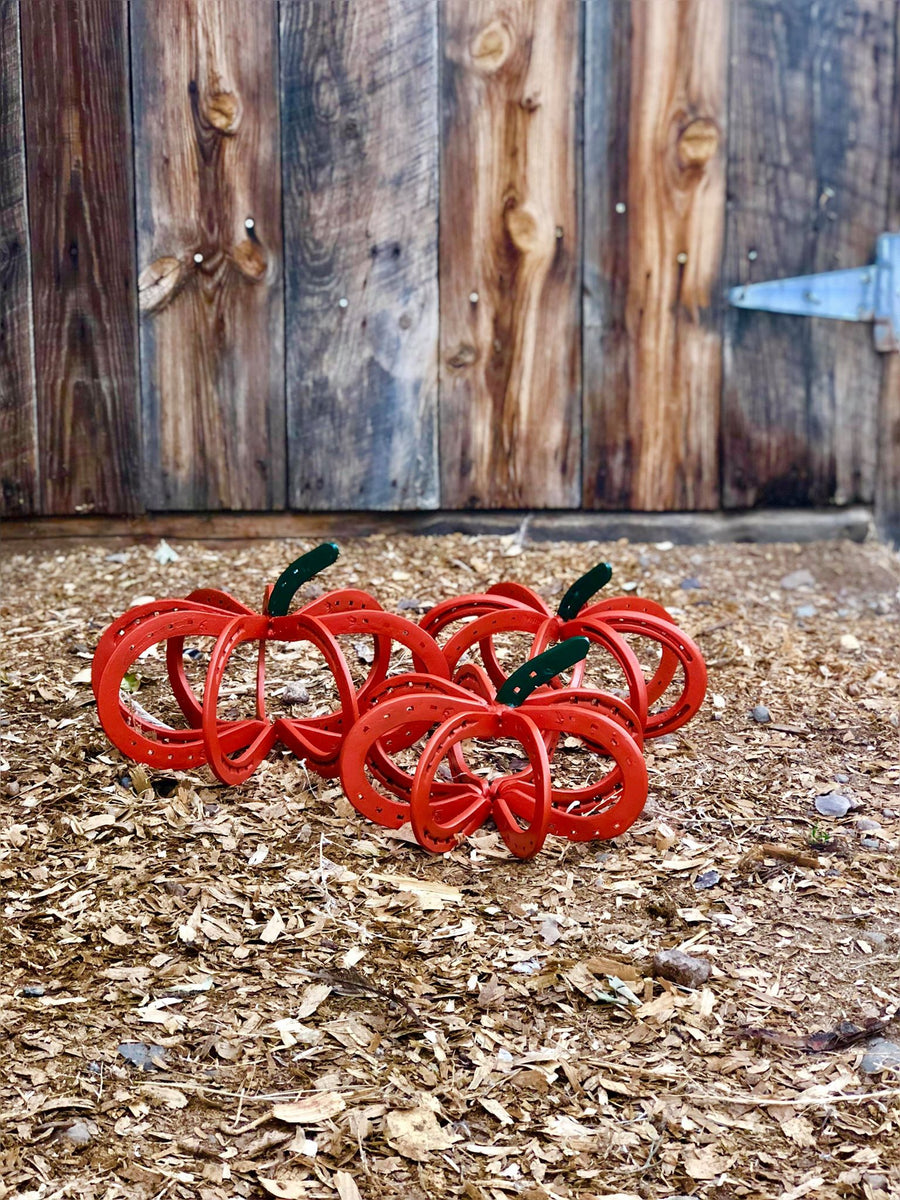 Horseshoe Pumpkin Set – Lucky Shoe Creations